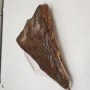 GUANCIALE INTERO CECCARELLI